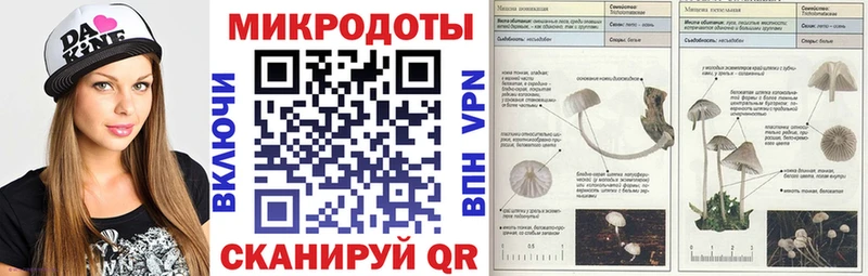 Галлюциногенные грибы Psilocybine cubensis  что такое наркотик  Циолковский 